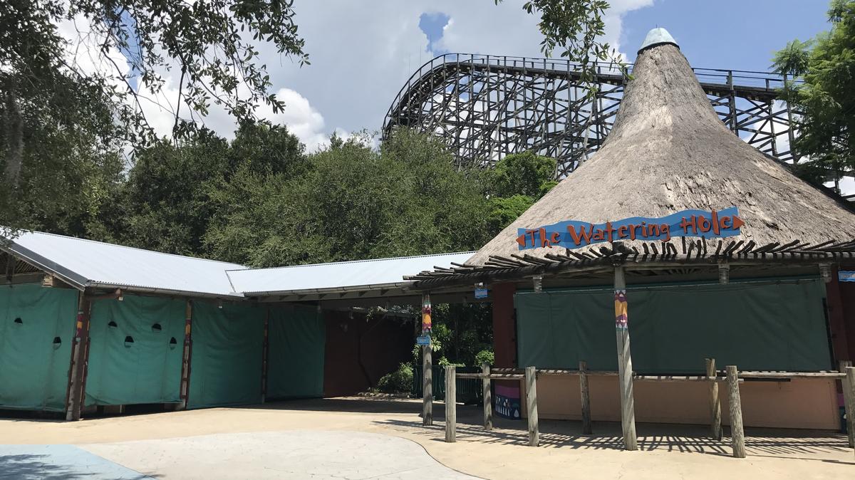 What Busch Gardens Tampa S Former Gwazi Roller Coaster Ride Could