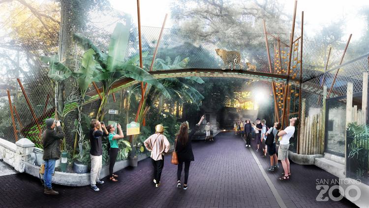 Jaguar San Antonio >> First Look San Antonio Zoo Plans To Invest Millions In New Jaguar San Antonio >> First Look San Antonio Zoo Plans To Invest Millions In New