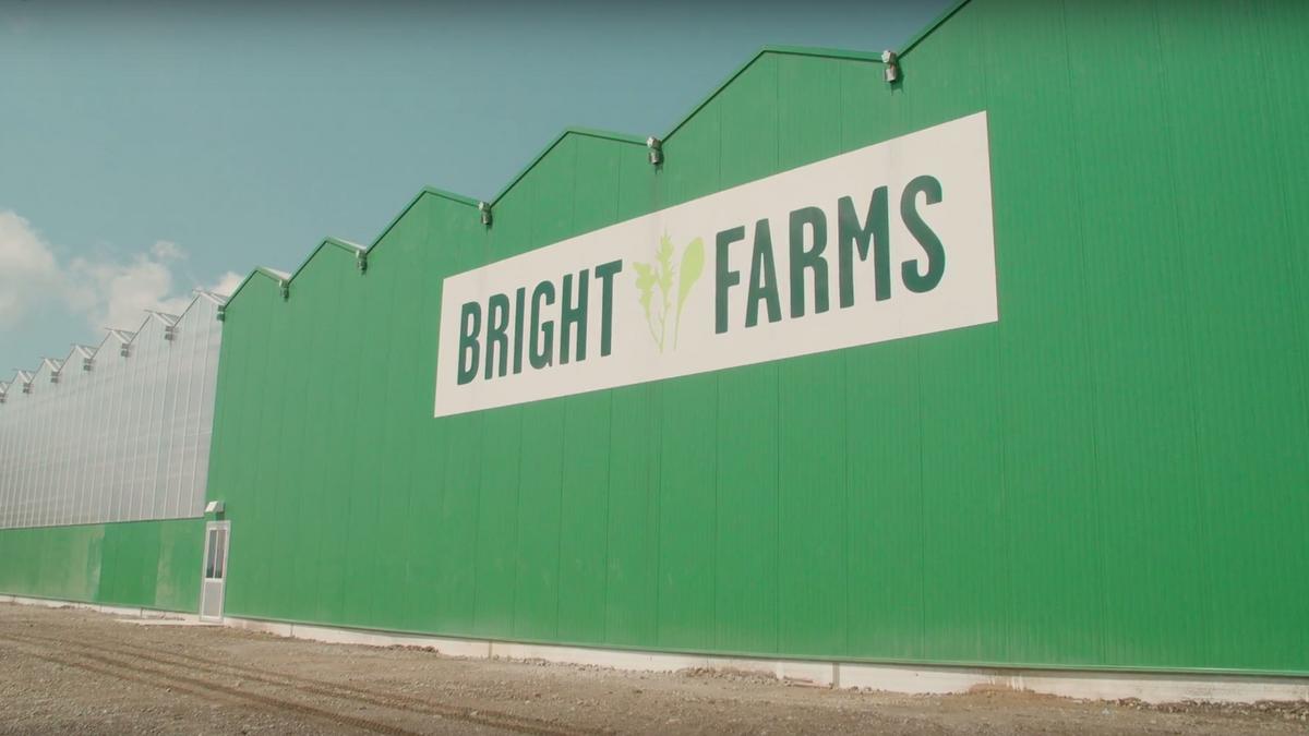 10M mega greenhouse marks first harvest Cincinnati Business Courier