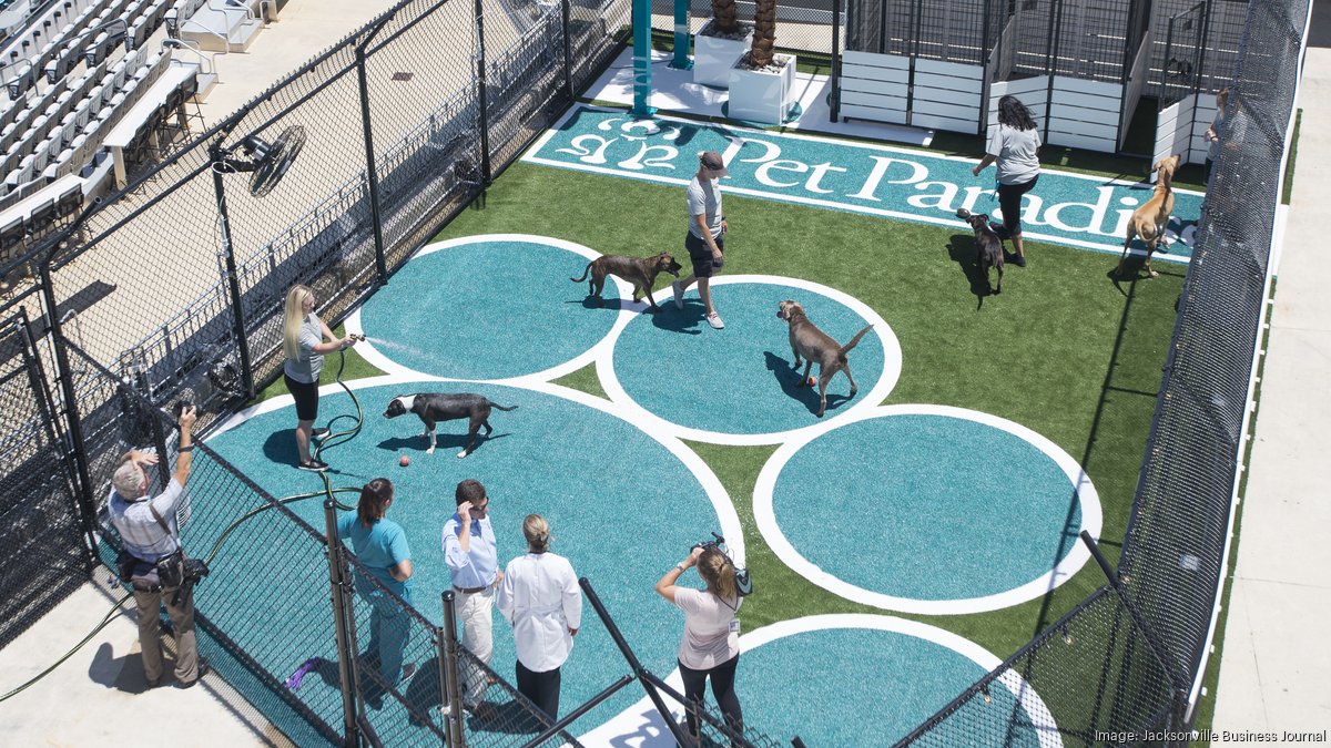 Pet Paradise Park returns to Jaguars' TIAA Bank Field for 2019 season -  Jacksonville Business Journal