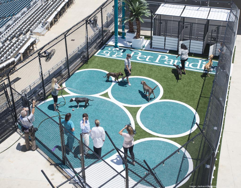 A peek inside Pet Paradise Park at the Jaguars TIAA Bank Field