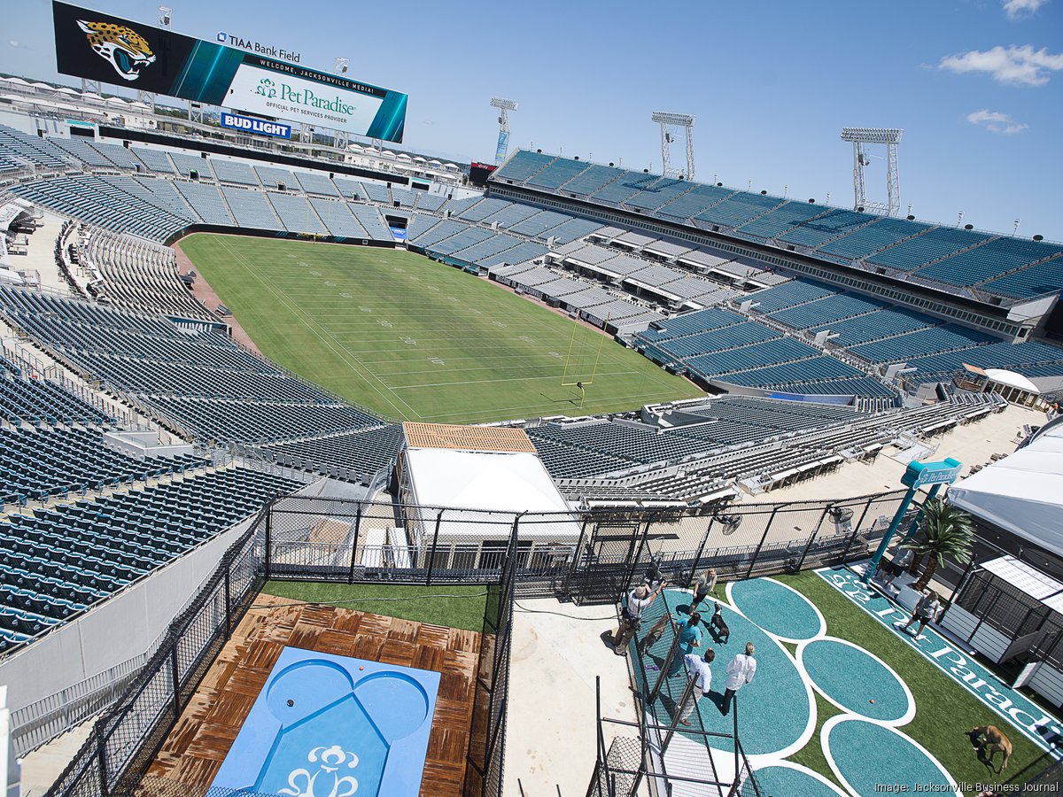 Pet Paradise Park returns to Jaguars' TIAA Bank Field for 2019 season -  Jacksonville Business Journal