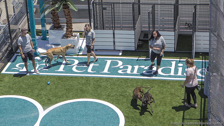 First look at the Jaguars' new pet park - Jacksonville Business Journal