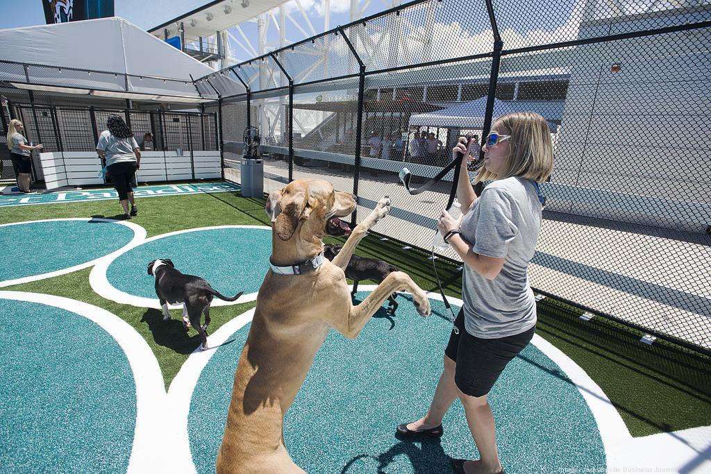 Pet Paradise Park, a Furry First for TIAA Bank Field, Wraps Its First  Season – The Coastal