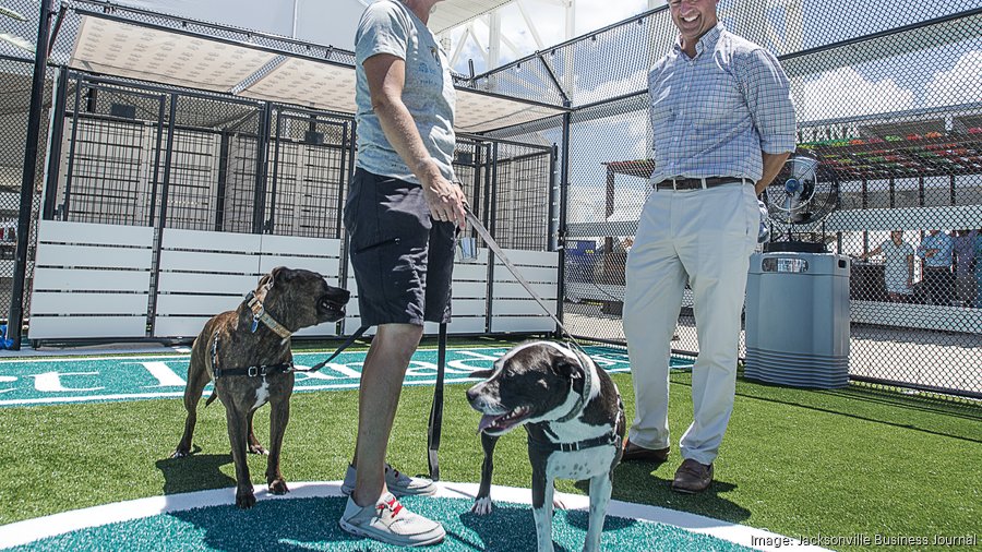 First look at the Jaguars' new pet park - Jacksonville Business