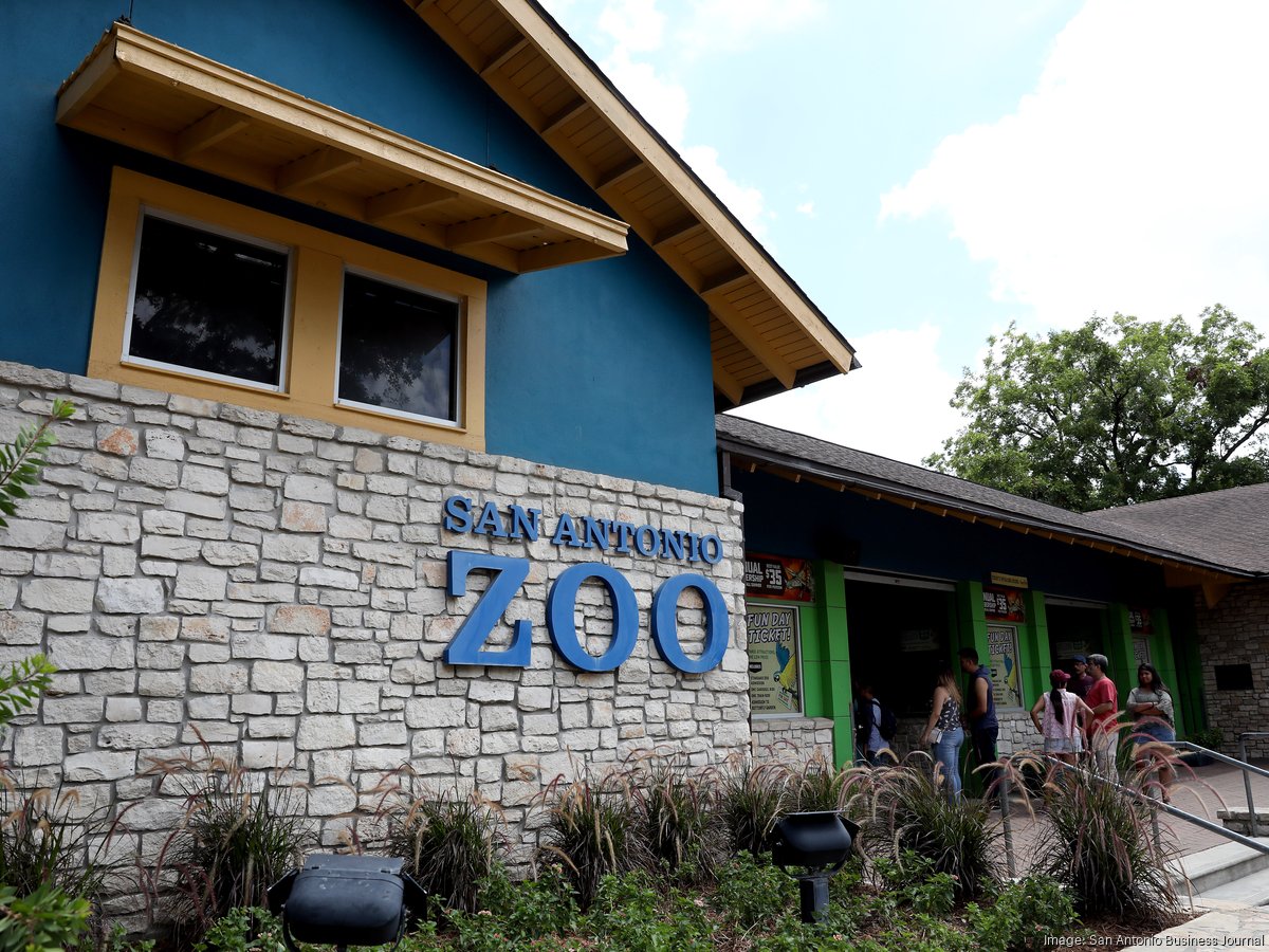 Zoo coordinator chooses fashion that roars