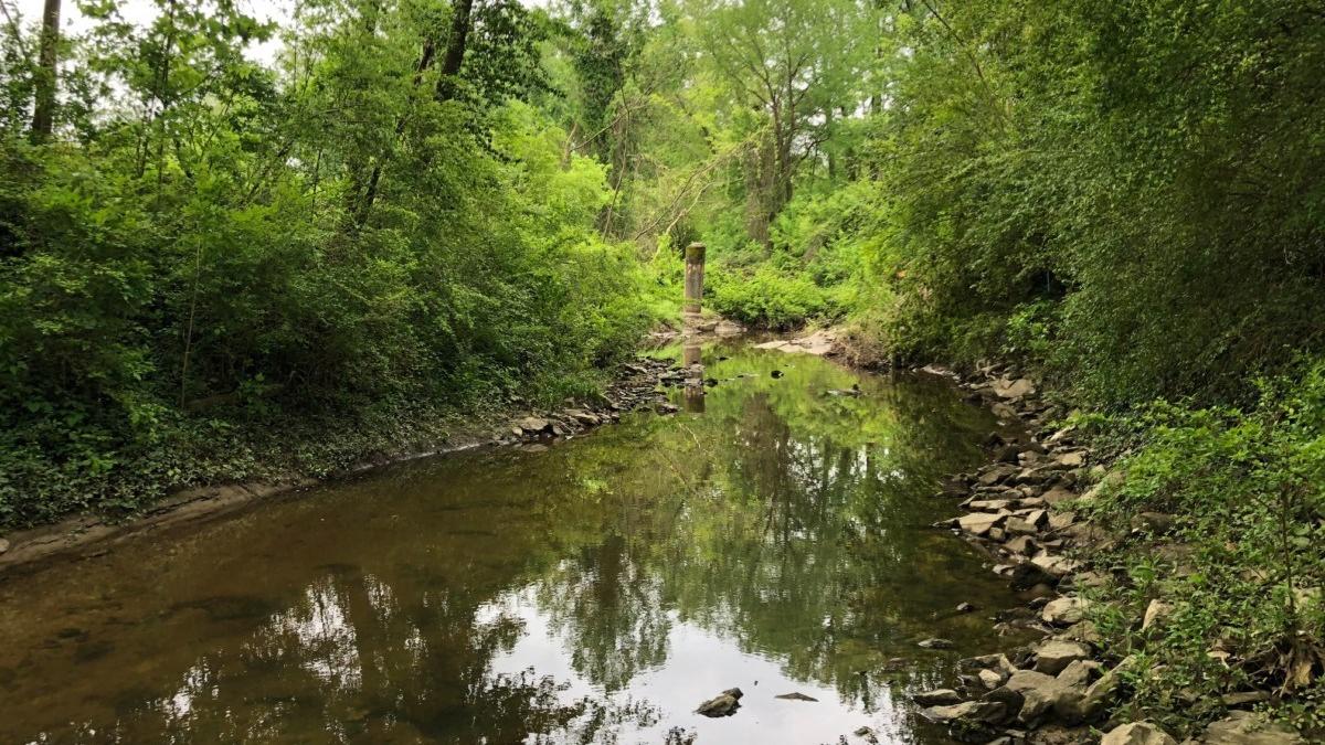 Chattahoochee Riverkeeper and Bobby Jones Foundation agree on plan to ...