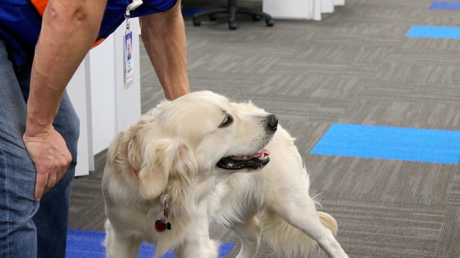 Look inside Chewy's 800,000squarefoot distribution center in the West