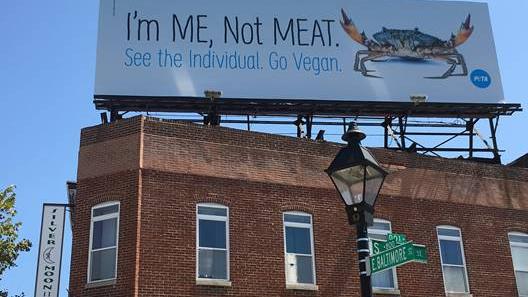 Marylanders are not happy about animal rights organization PETA's newest billboard in Baltimore, which encourages people to stop eating crabs and go vegan.