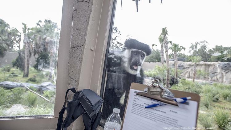 A Look Back At A Year Of Innovation For The Jacksonville Zoo And Gardens Photos Jacksonville Business Journal
