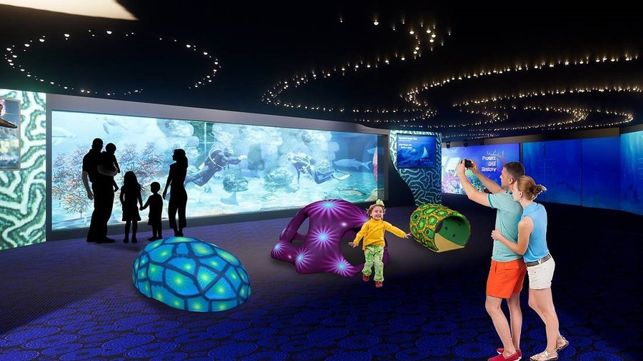 Florida Aquarium to unveil new exhibit, reimagined area - Tampa
