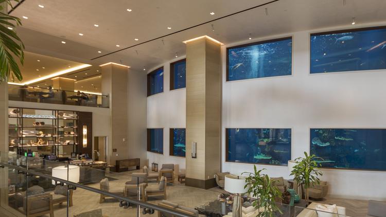 Best Western Oceanfront-Jacksonville Beach in Jacksonville - VISIT FLORIDA