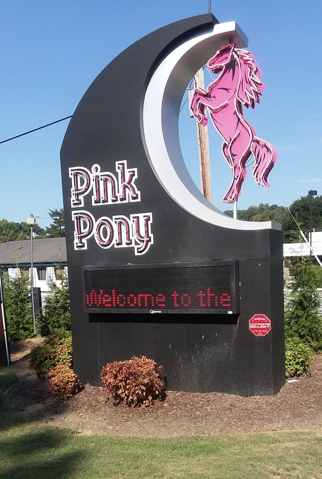 Controversial Brookhaven strip club Pink Pony files Chapter 11 - Atlanta  Business Chronicle