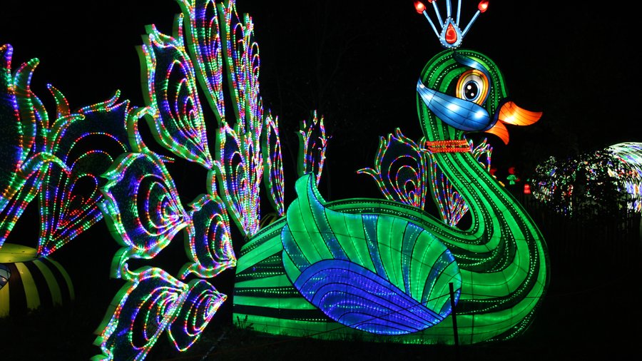 ccp 蓄光祭り05 バラン Wild Lights returns to the Sedgwick County Zoo with more lights