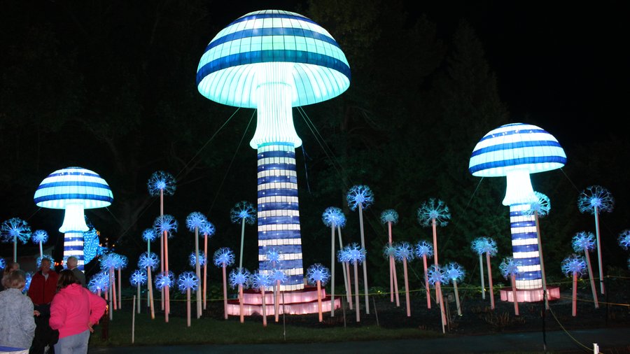 0920chinalights55*900xx5184-