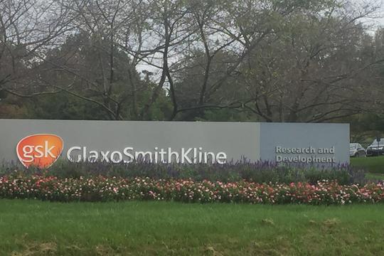 GlaxoSmithKline