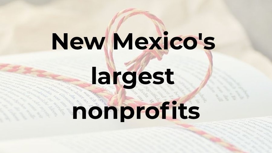 Largest nonprofits, grantmaking orgs Albuquerque Business First