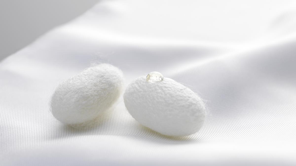 Kraftbacked Silk Inc. raises 30M to combat toxic clothing Boston