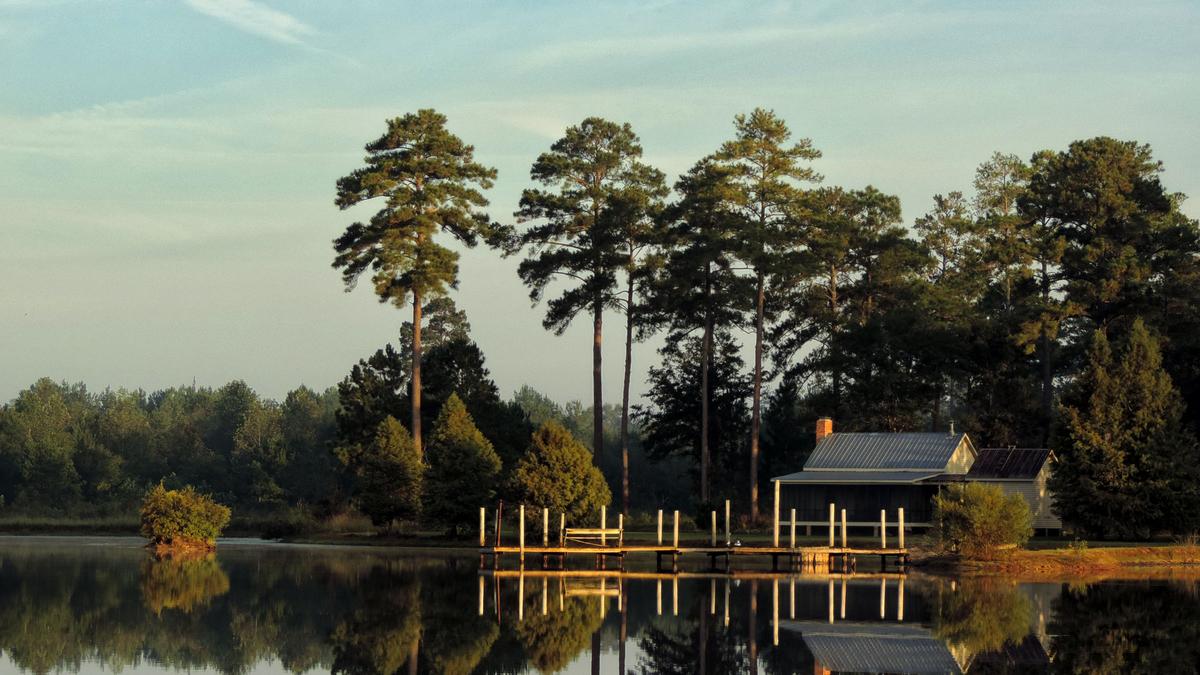 Check Out 2 294 Acre Hunting Plantation In Lee County Ga Photos