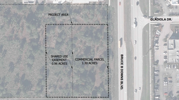 Brandon Regional An Hca Hospital Has Plans For