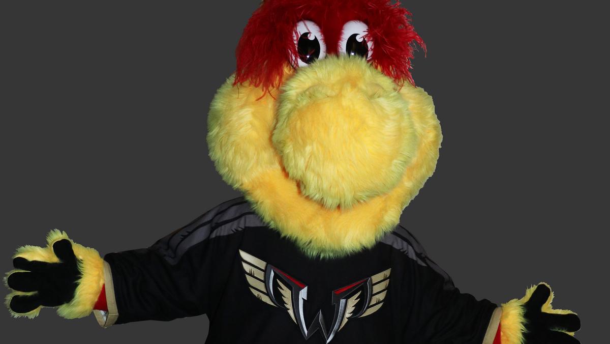 NLL's Philadelphia Wings unveil team mascot Wingston Philadelphia