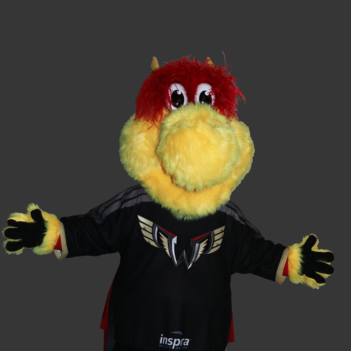 I'm Pretty Sure The City Of Philadelphia Is Now Home To The Most Mascots  Per Capita As They Introduce Wingston Of The Philadelphia Wings