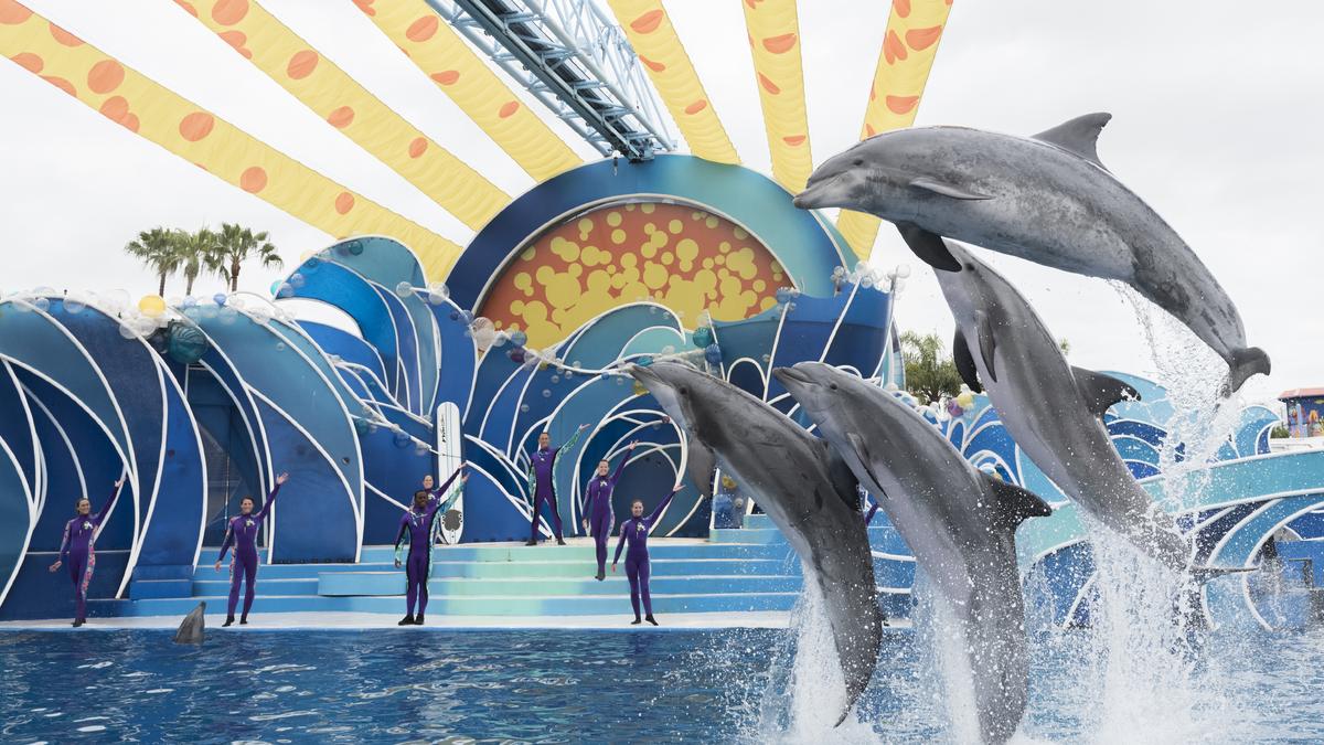 TripAdvisor bans the sale of tickets to SeaWorld