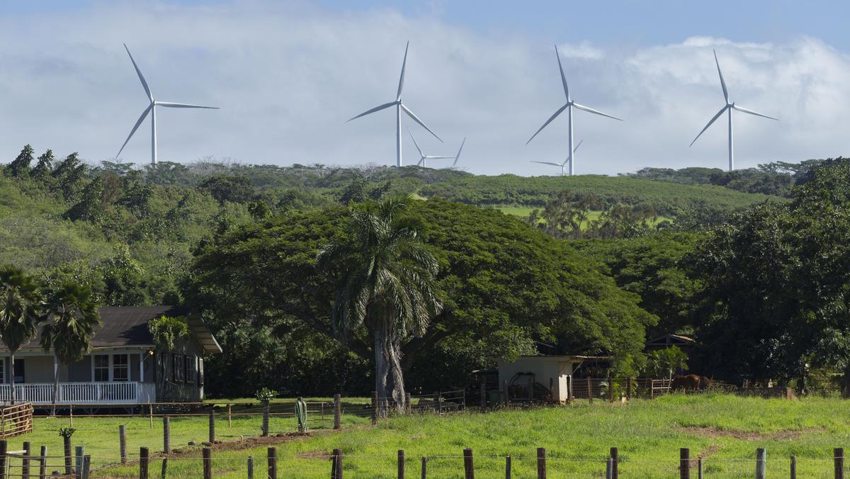 Protesters block construction of AES's Na Pua Makani wind farm ...