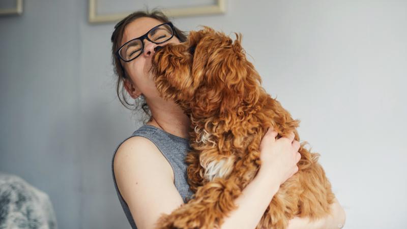 We'll treat our pets even more like people in 2019 - Bizwomen