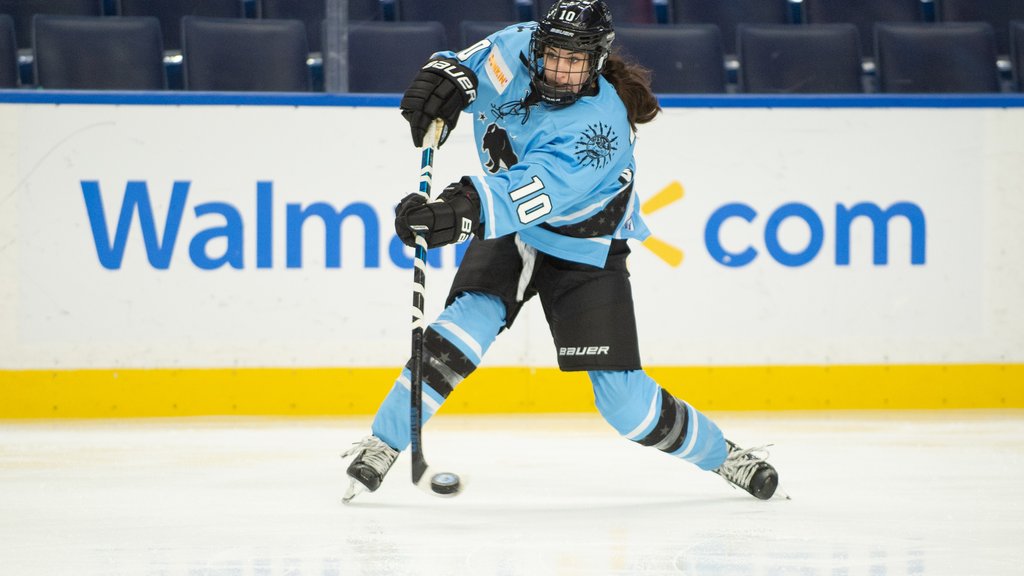 Buffalo Beauts' contracts terminated after surprise Premier Hockey  Federation acquisition - Buffalo Business First