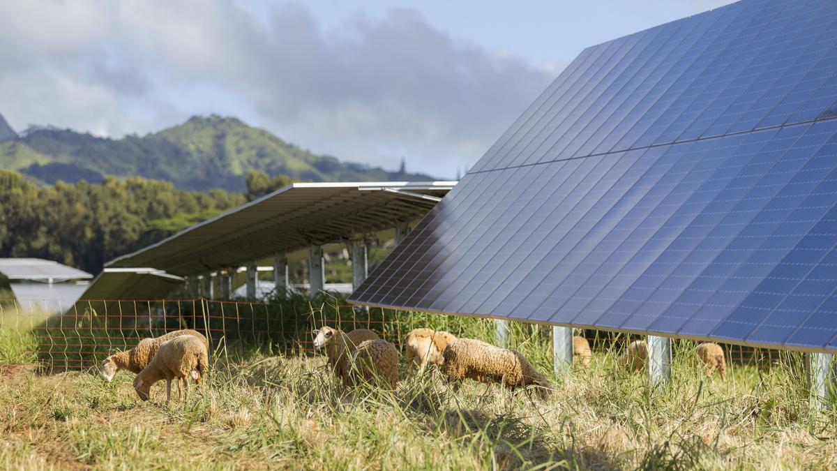 AES Distributed Energy tapped to develop 2 solarplusstorage projects