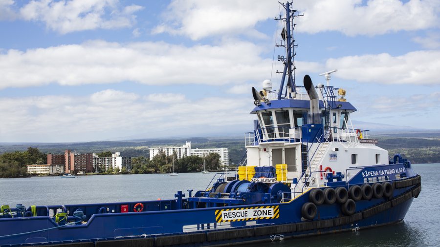 Young Brothers faces opposition from Island businesses in response to