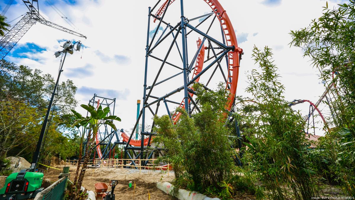 Tigris Being Built This Week At Busch Gardens Tampa Bay Video