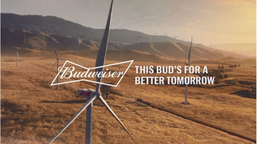 Budweiser's Super Bowl LIII commercial touts wind power - Minneapolis / St.  Paul Business Journal