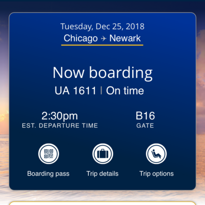 my united airline app blinks