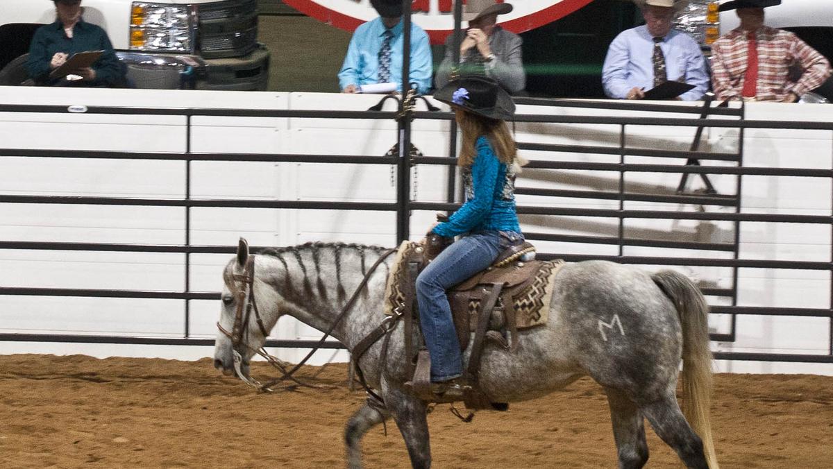 Ohio Quarter Horse Congress 2024 Schedule Loren Lorene