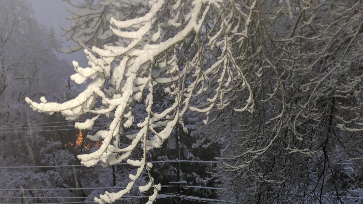 5 things to know, and snow in Placerville Sacramento Business Journal