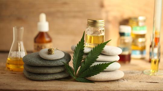 cannabis cbd product oil