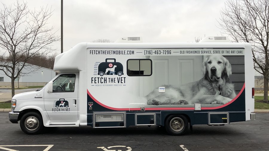 Western New York now has a mobile vet that will treat animals at your ...