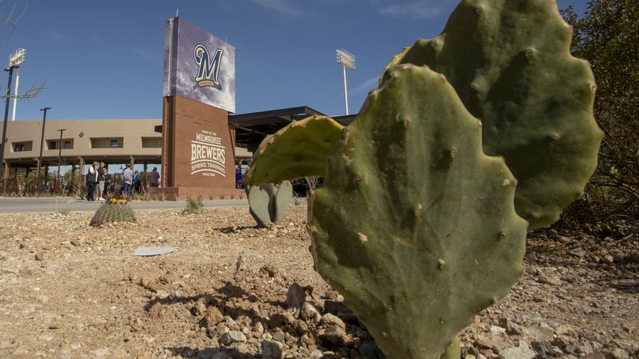 Spring training 2017 sets another Cactus League attendance record