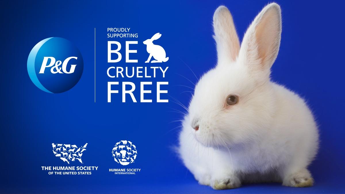P&G joins ban on animal testing for cosmetics - Bizwomen