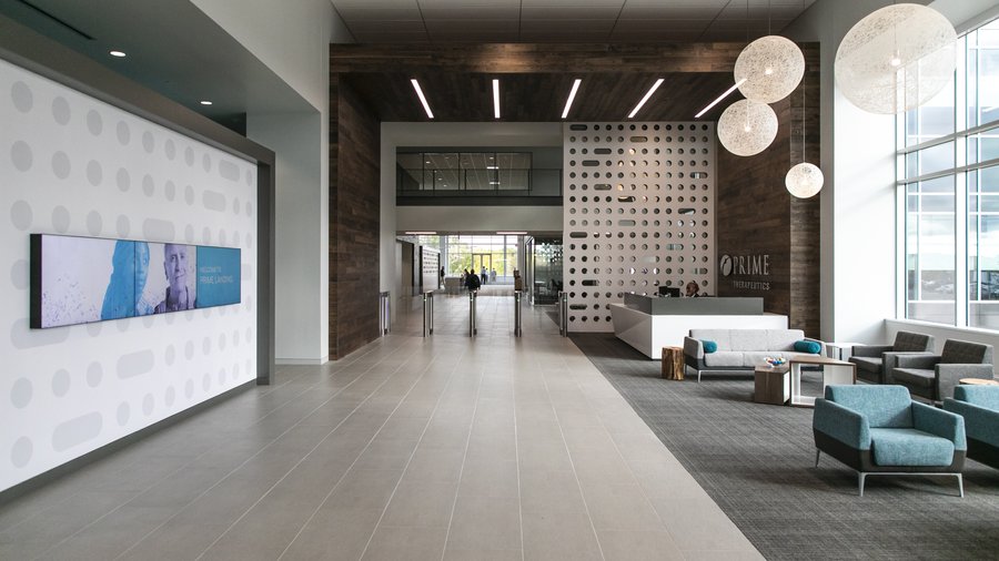 Elayne office