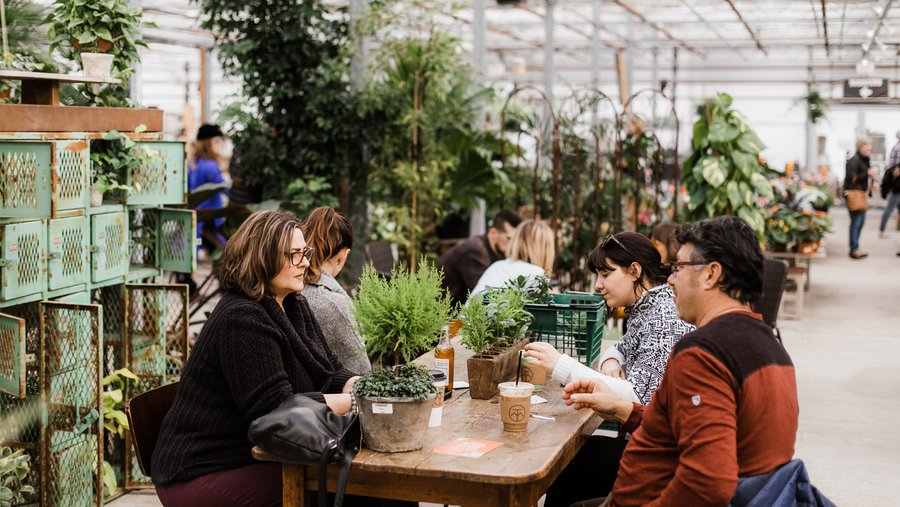 Thou Mayest wants coffeestyle version of a restaurant group Kansas