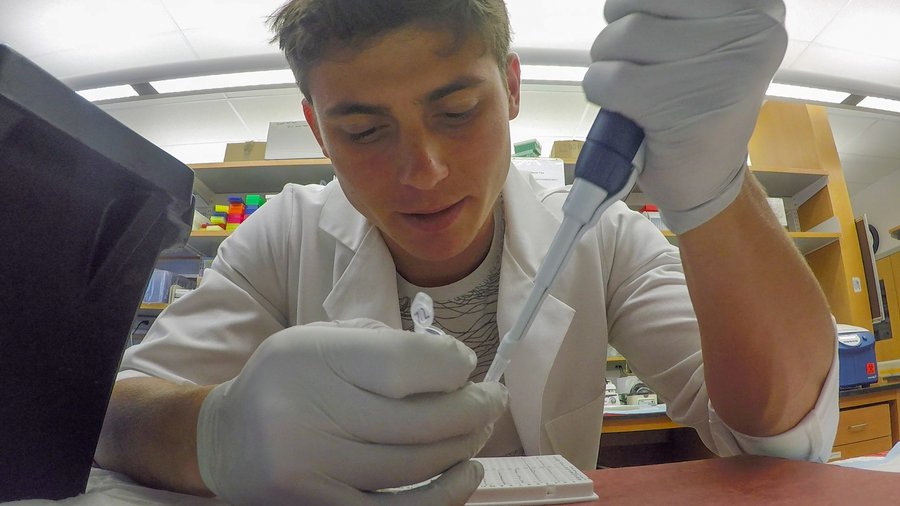 Ohio State’s research making strides in diabetes treatment Columbus