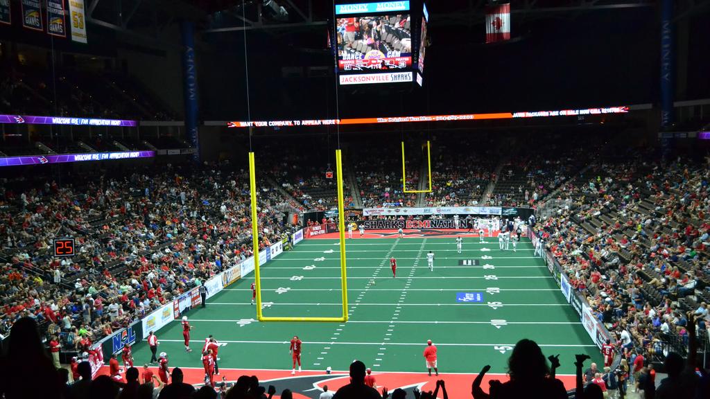 Jacksonville Sharks to create new league