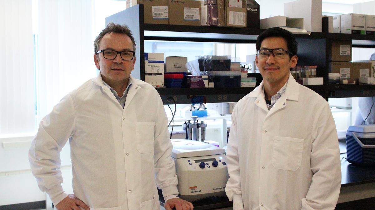 Geneediting company LogicBio shares drop by after clinical