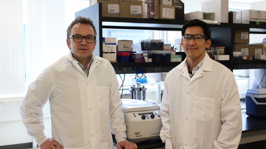 Geneediting company LogicBio shares drop by after clinical