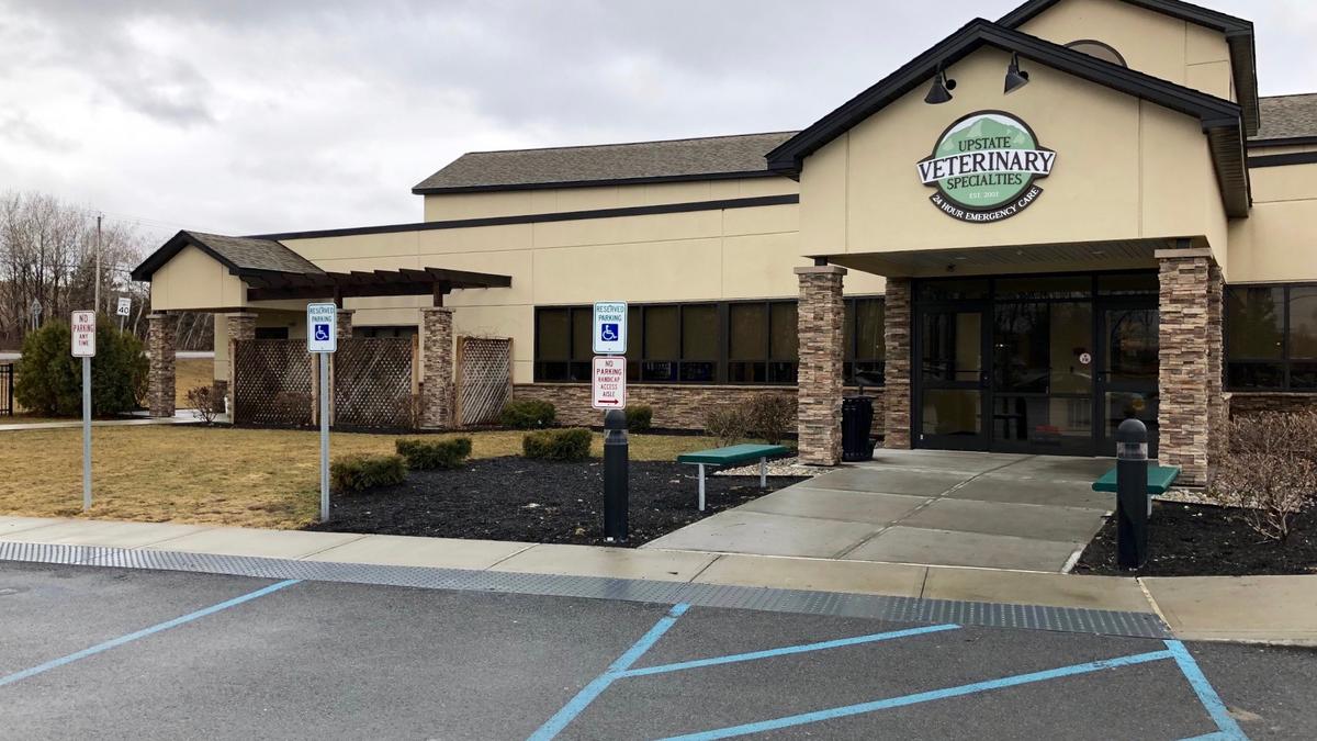 Upstate Veterinary Specialities buys land in Latham Albany Business