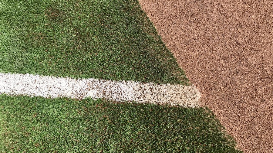 Tropicana Field, home of the Tampa Bay Rays with its new Shaw Sports Turf  Synthetic turf system. 