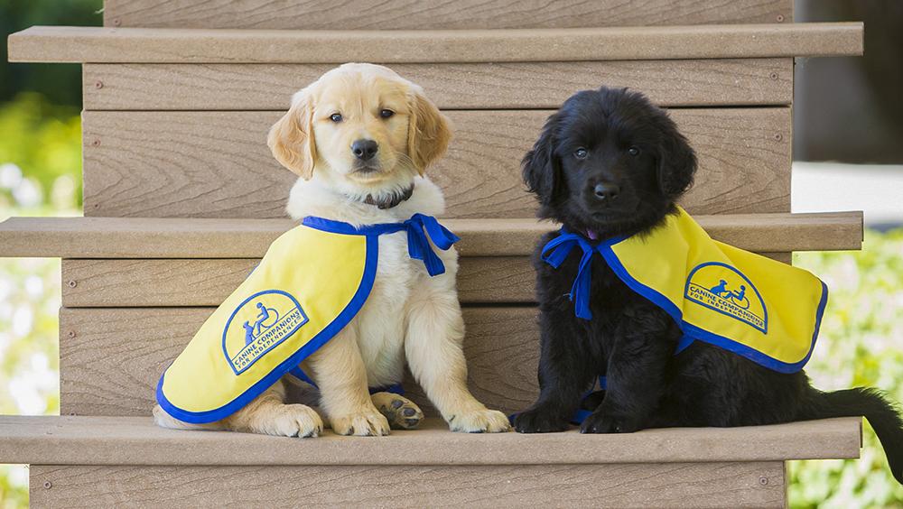 View of Canine Companions for Independence building New Albany training ...